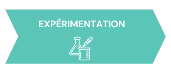 experimentation